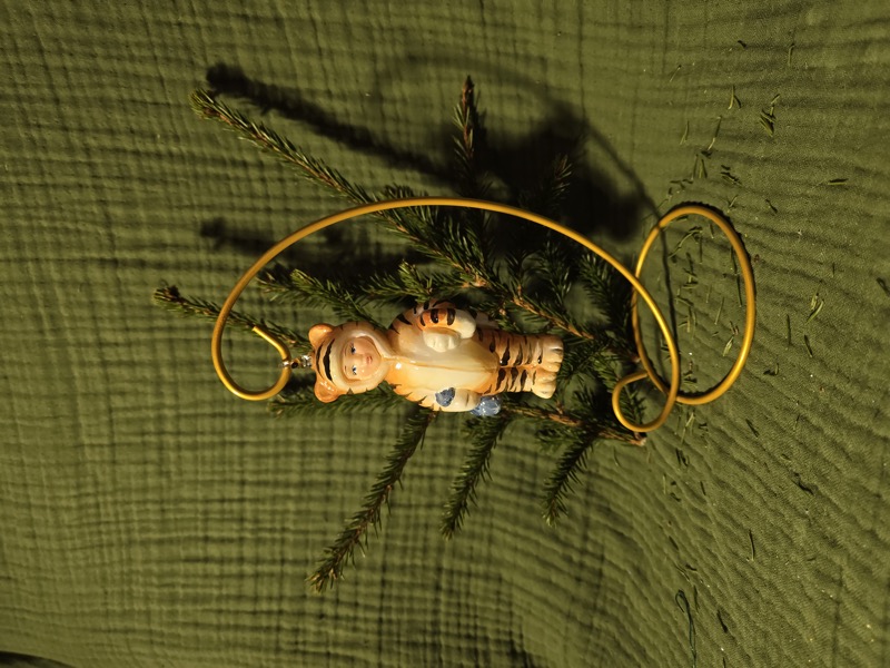 мальчик тигренок