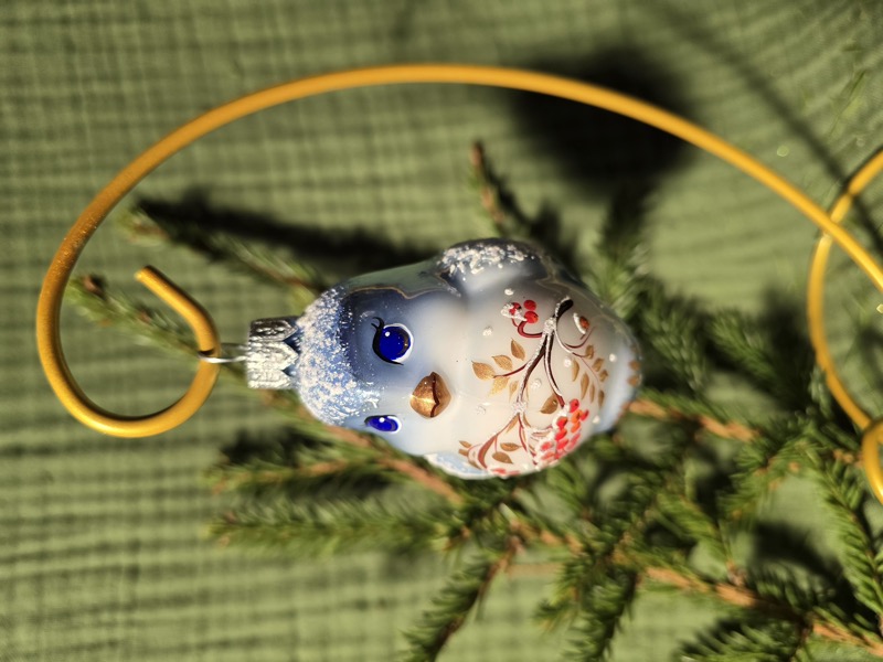 Птичка морозная рябина