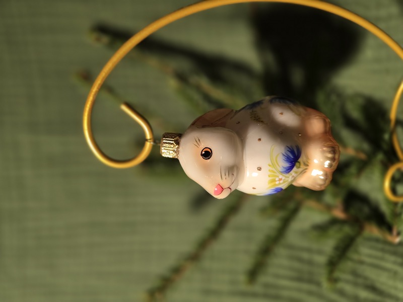 зайка василек