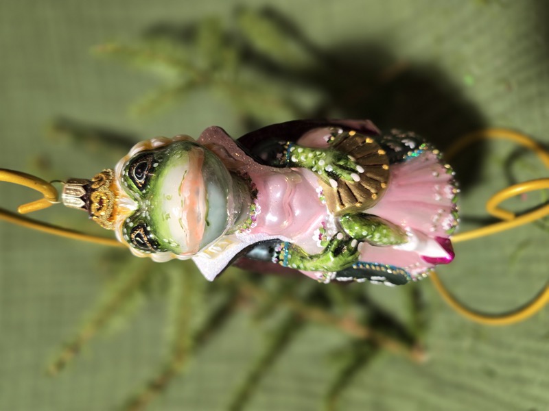 лягушка (лесной бал)