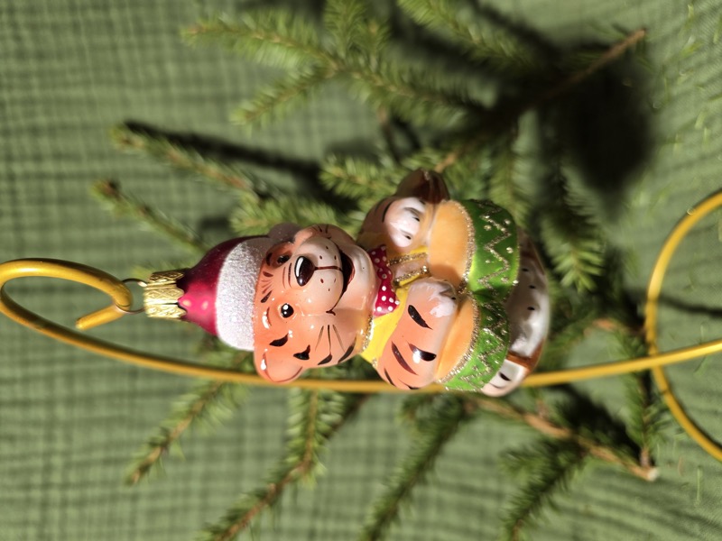 тигр барабанщик