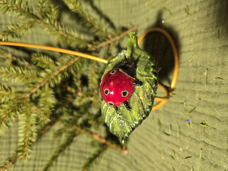 божья коровка на листке