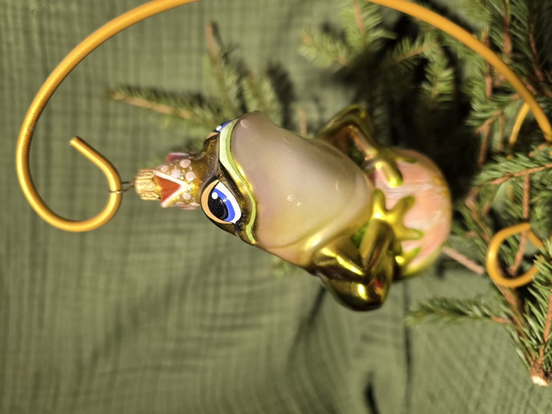 Царевна-лягушка