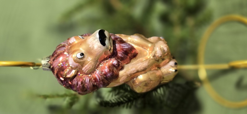 Трусливые лев