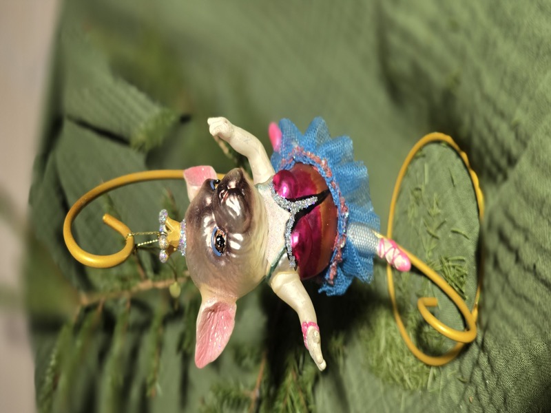 Бульдог в пуантах