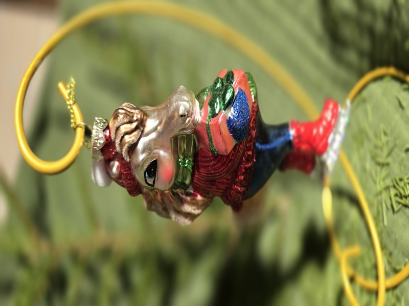 Конь на коньках