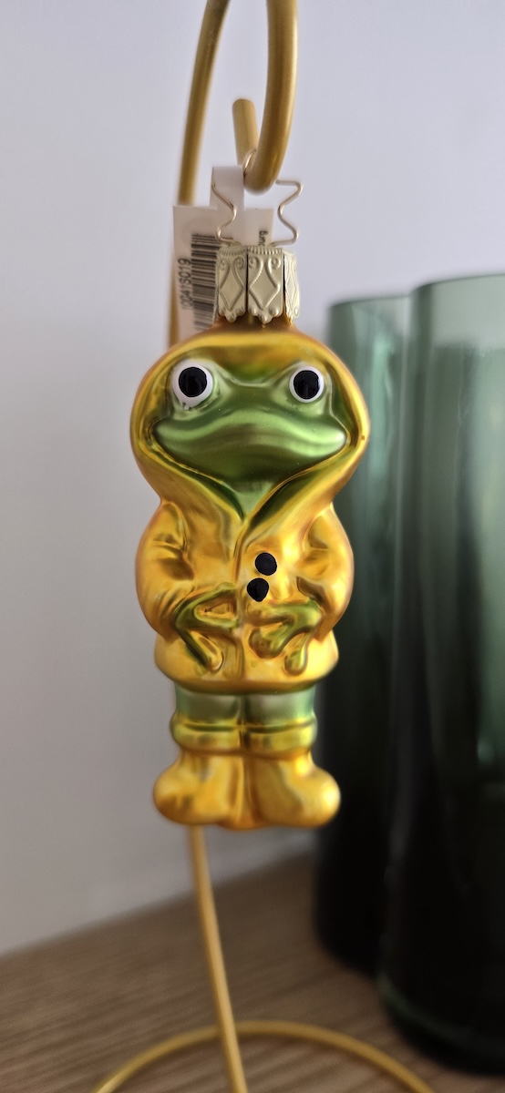 лягушка в плаще