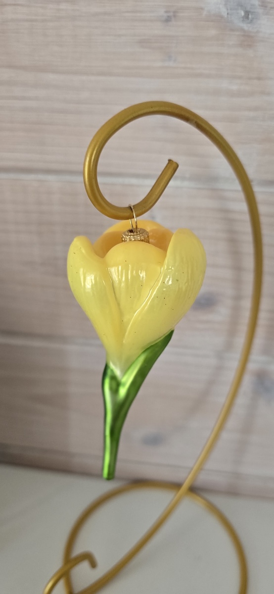 цветок крокус